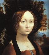  Leonardo  Da Vinci Portrait of Ginerva de'Benci oil painting artist